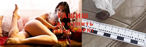 прущие грибы Абинск