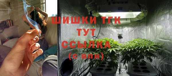 прущие грибы Абинск