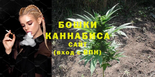 винт Абаза