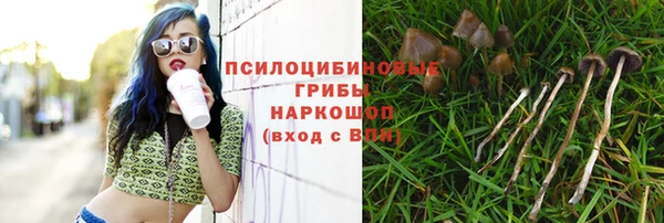 кокаин перу Рославль